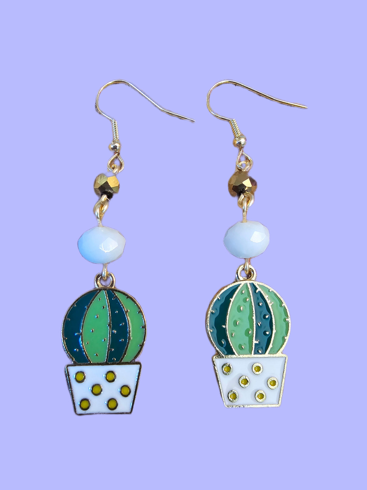 Desert Catcus White Pot